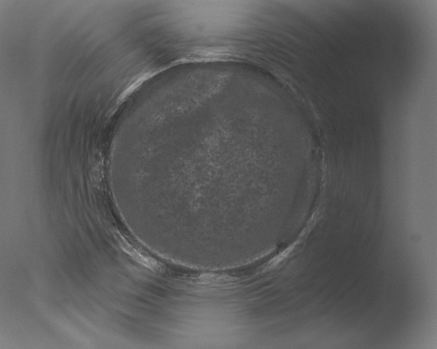 X0000076321449200610201626