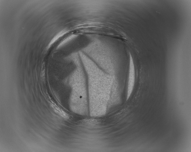 X0000076321450200610201626