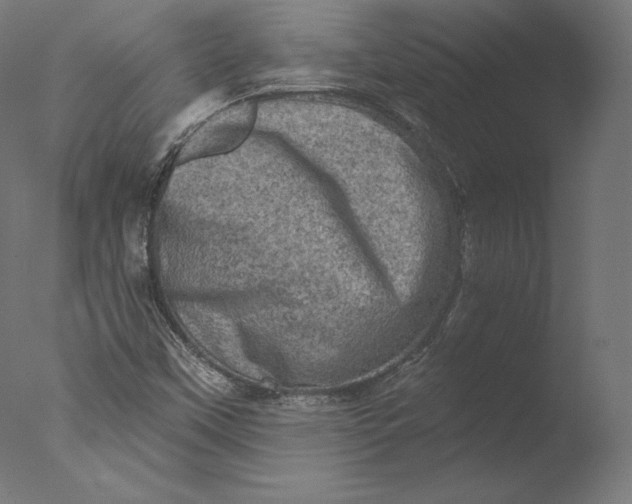 X0000076321451200610201626