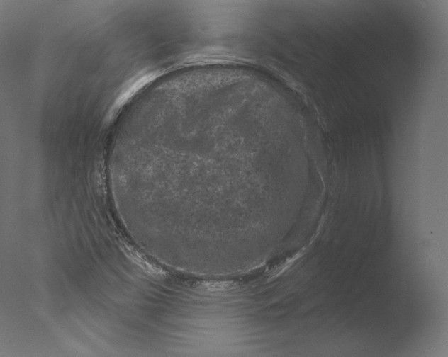 X0000076321453200610201626