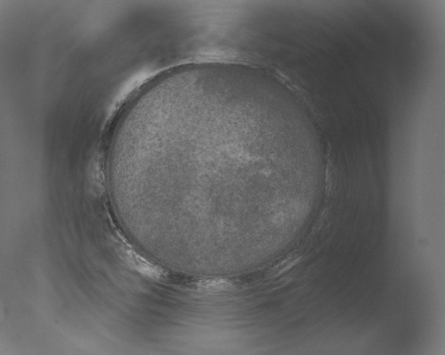 X0000076321454200610201626