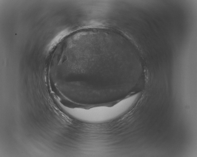 X0000076321455200610201626