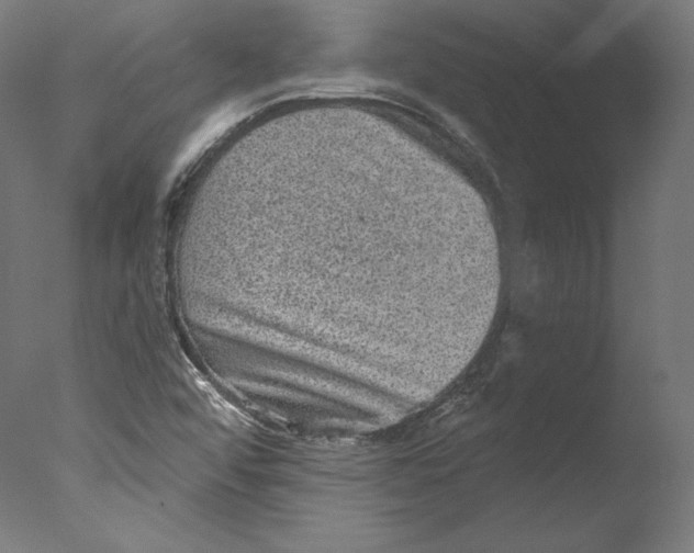 X0000076321456200610201626