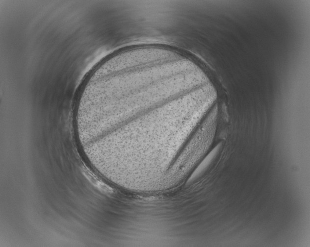 X0000076321460200610201626