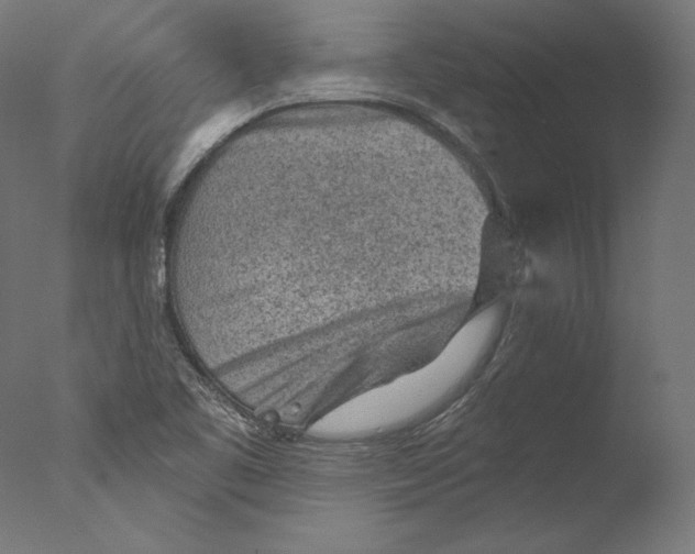 X0000076321461200610201626