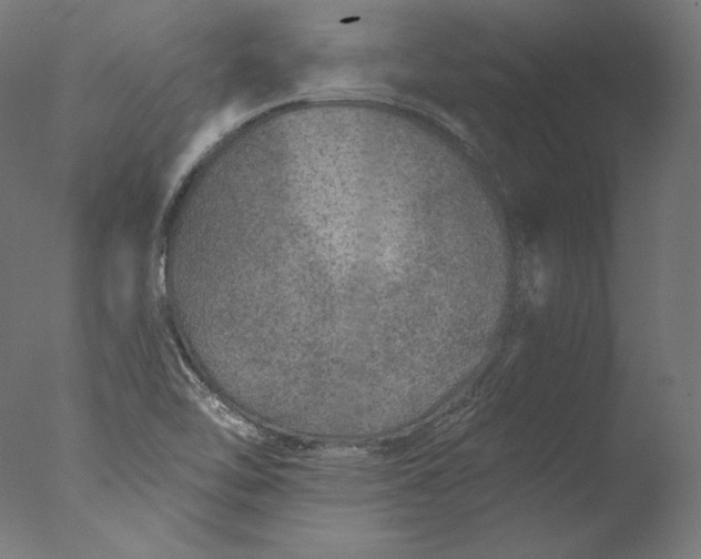 X0000076321462200610201626