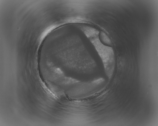 X0000076321463200610201626