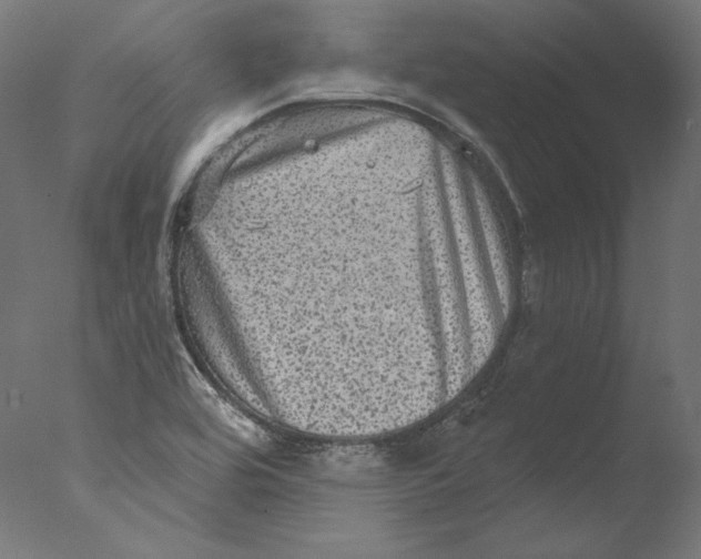 X0000076321464200610201626