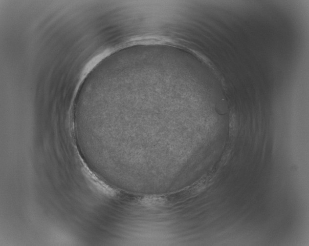 X0000076321466200610201626