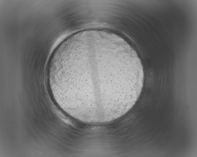 X0000076321467200610201626