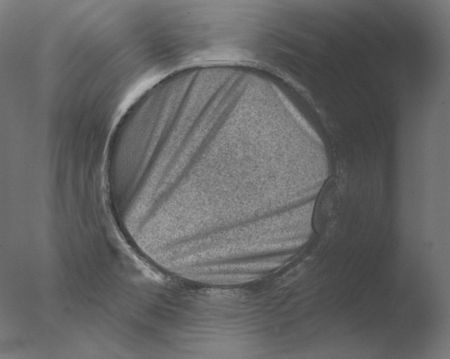 X0000076321469200610201626