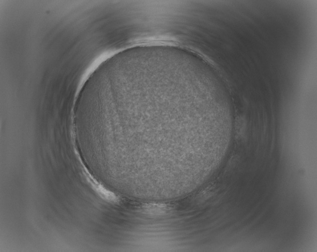 X0000076321470200610201626