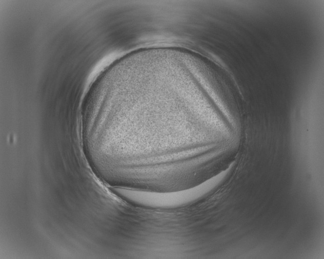 X0000076321472200610201626