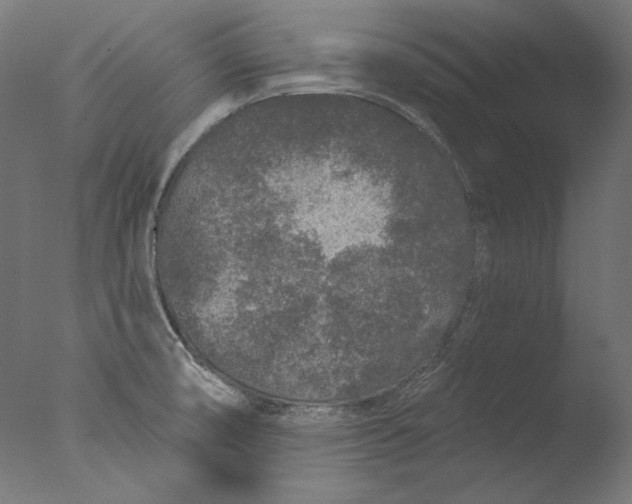 X0000076321474200610201626