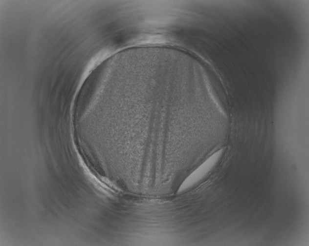 X0000076321475200610201626