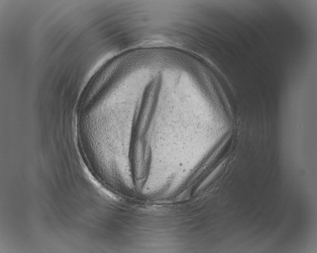 X0000076321476200610201626