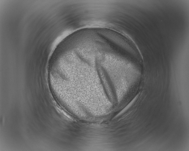 X0000076321480200610201626