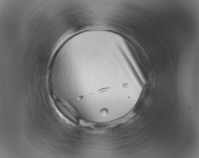 X0000076321484200610201626