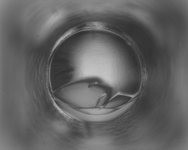 X0000076321487200610201626