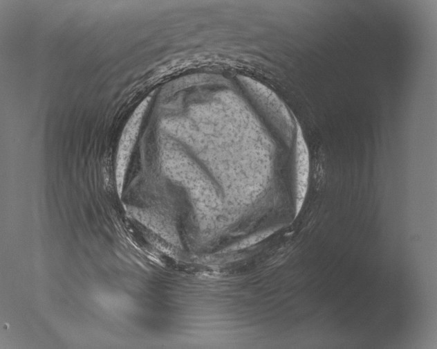 X0000076321490200610201625