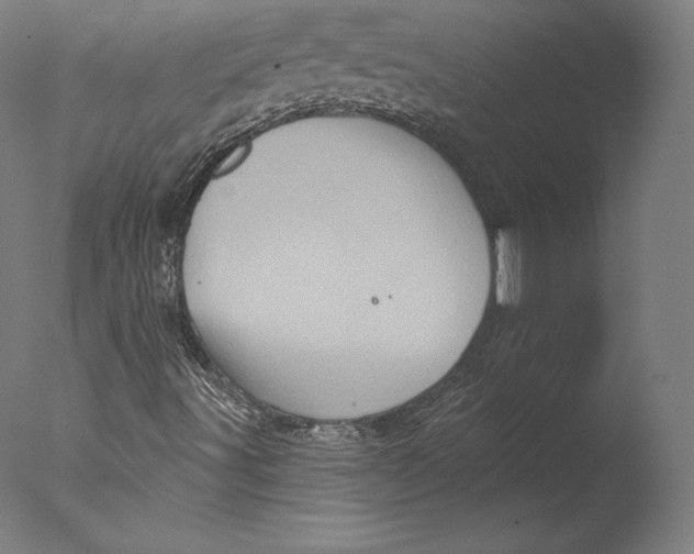 X0000076321491200610201625