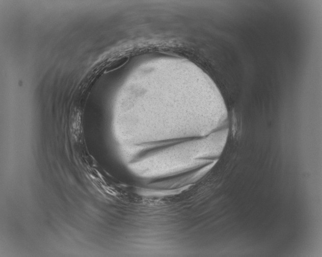 X0000076321492200610201625