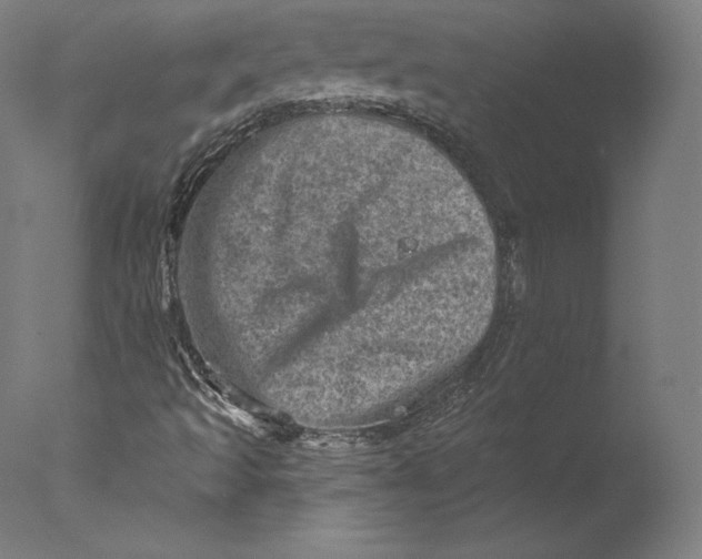 X0000076321493200610201625