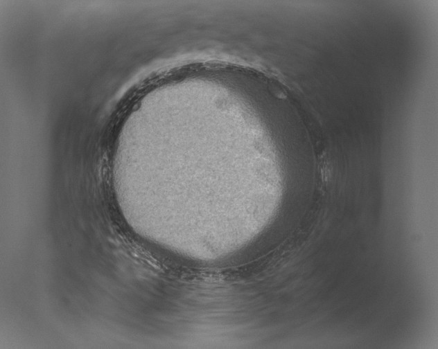 X0000076321495200610201625