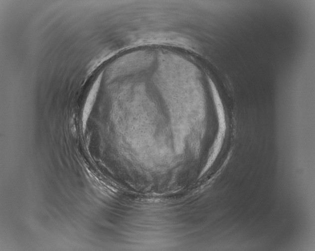 X0000076321497200610201625