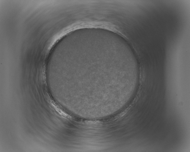 X0000076321498200610201625