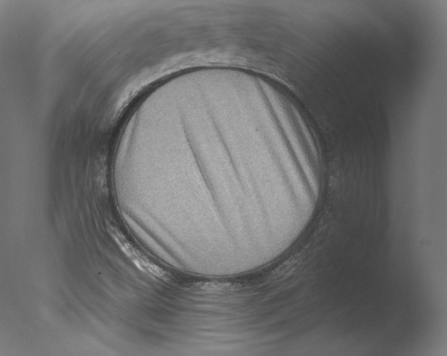 X0000076321499200610201625