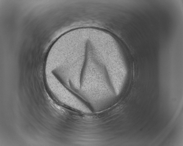 X0000076321500200610201625