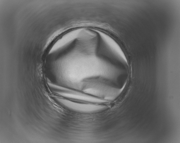 X0000076321501200610201625