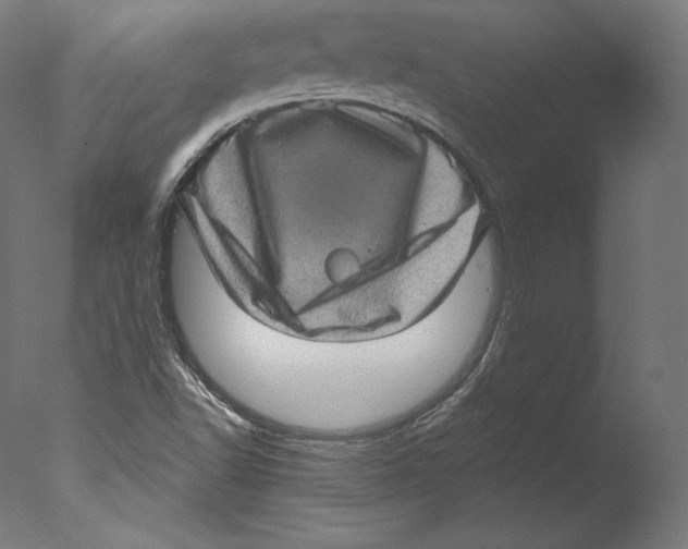 X0000076321502200610201625