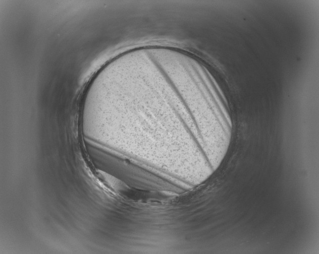 X0000076321504200610201625