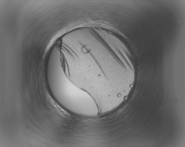 X0000076321506200610201625