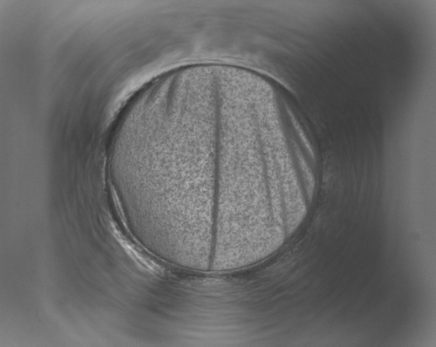 X0000076321507200610201625