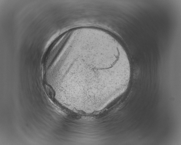 X0000076321509200610201625