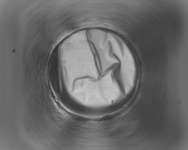 X0000076321513200610201625