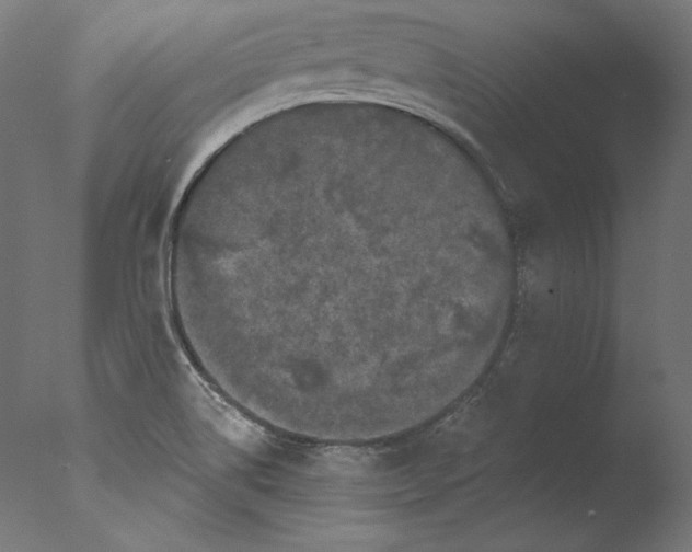 X0000076321514200610201625