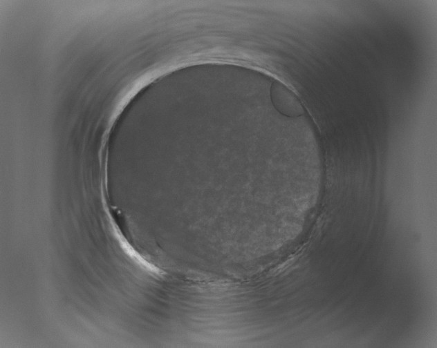 X0000076321515200610201625