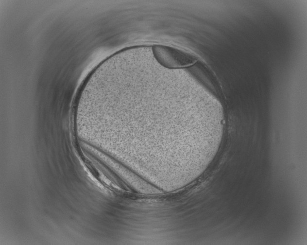 X0000076321517200610201625