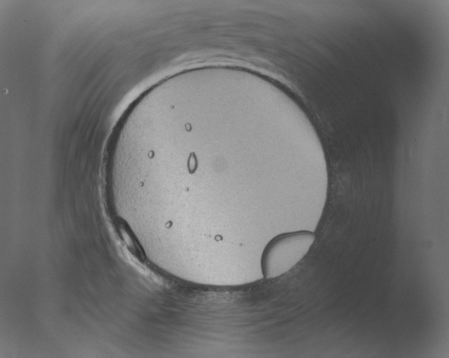 X0000076321518200610201625