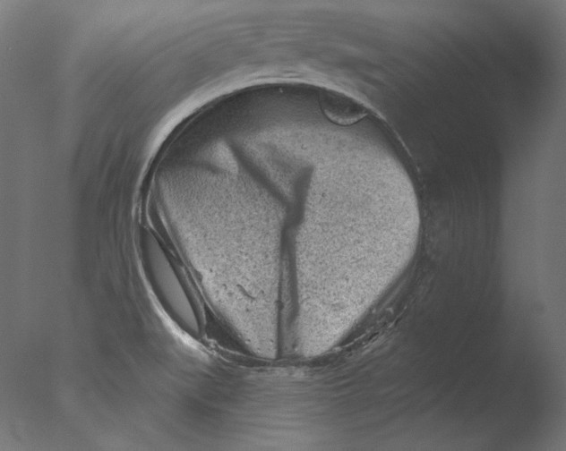 X0000076321519200610201625