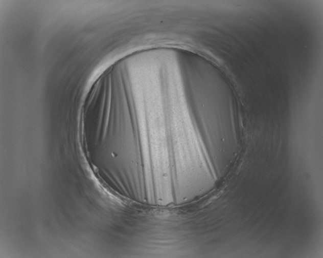 X0000076321520200610201625