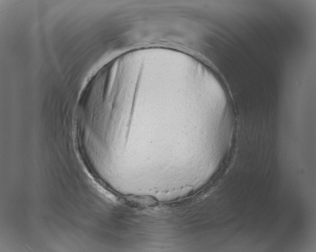 X0000076321525200610201625