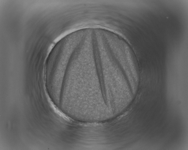 X0000076321526200610201625