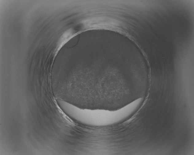 X0000076321529200610201625