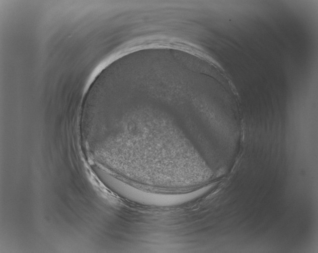 X0000076321530200610201625