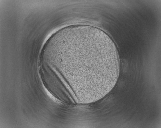 X0000076321531200610201625